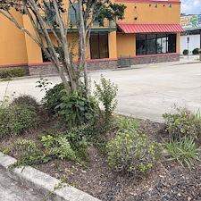 Commercial-Cleanup-Project-in-Conway-SC 14